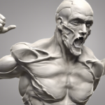 Qu&rsquo;est-ce que le scapulaire dans le rugby ?