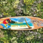 planche surf