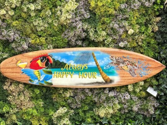 planche surf
